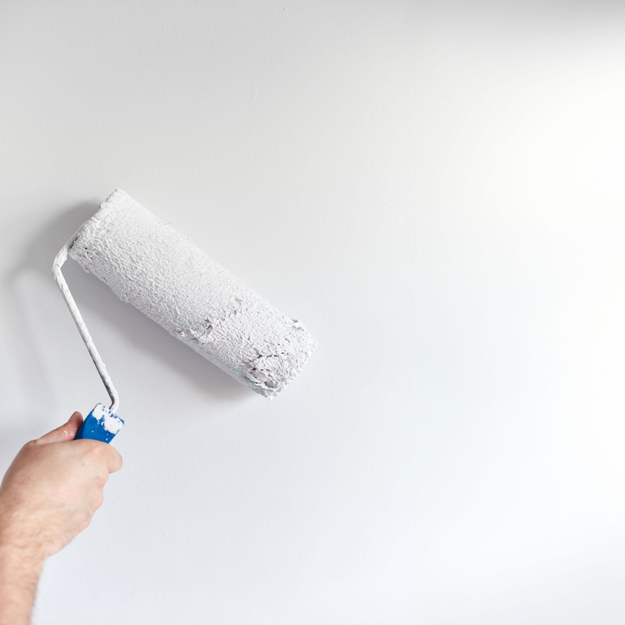 Fresh interior wall painting and touch-up work in modern Sarasota home