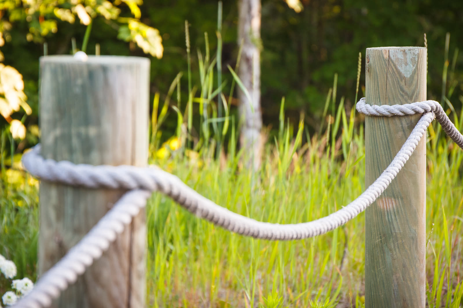 Fence repair & sections