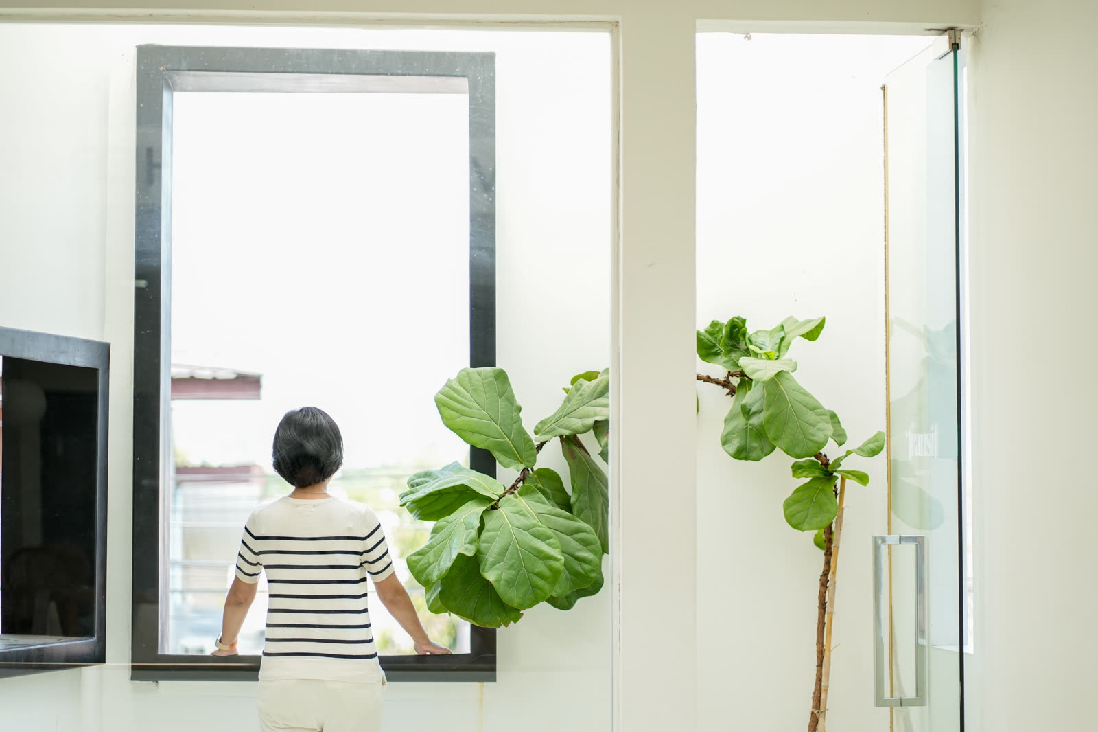asian woman standing by the window at office build — Window AC Installation & Repair in Sarasota, FL