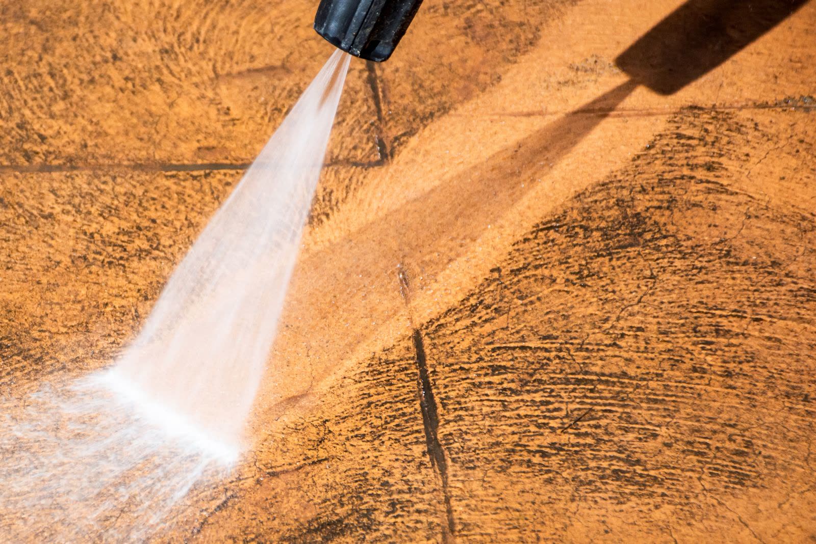 Backyard paver tiles washed clean — the kind of pressure washing our vetted local pros handle in Sarasota, FL