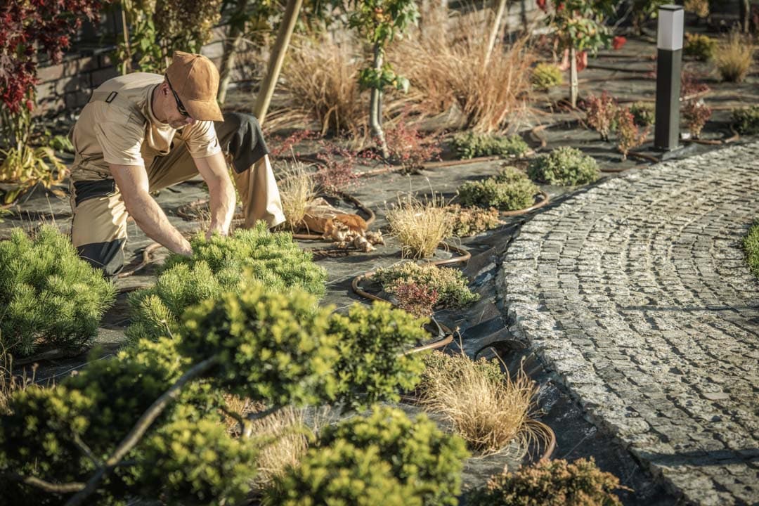 Planting new garden trees — the kind of lighting installation our vetted local pros handle in Sarasota, FL